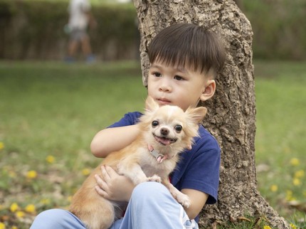 Bahaya Anak Digigit Anjing Rabies, Berapa Lama Gejala Muncul?