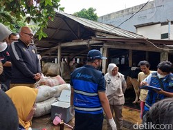 Lurah Respons Pencemaran di Pancoran: Idul Adha, Sapi Tambah Banyak