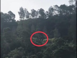 Detik-detik Jip Wisatawan Bromo Jatuh ke Jurang 20 Meter