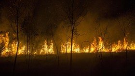 Karhutla di Lereng Gunung Panderman Jatim, Api Belum Padam