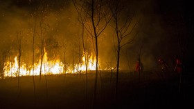 BMKG Bongkar Penyebab Titik Panas di Kalimantan Meningkat Drastis