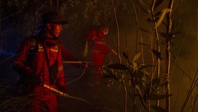 Kebakaran 30 Hektare Lahan di Tapin Kalsel Berhasil Dipadamkan