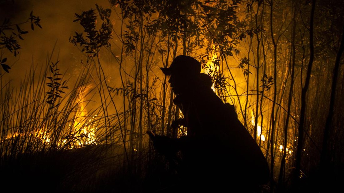 FOTO: Upaya Pemadaman Karhutla Kalsel Hingga Malam Hari