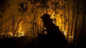 Gunung-gunung di Indonesia Mulai Terbakar, El Nino Punya Andil?