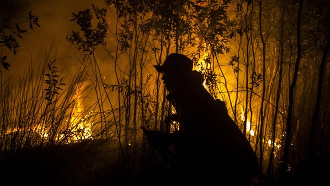 Kabid Kedaruratan BPDB Kabupaten Mojokerto mengatakan kebakaran hutan Gunung Bekel menghanguskan lahan dengan luas sekitar 15 hektare.