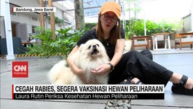 VIDEO: Cegah Rabies, Segera Vaksinasi Hewan Peliharaan