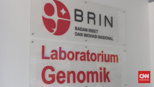 BRIN menghapus anggaran pada sejumlah pos imbas efisiensi kementerian lembaga sesuai instruksi Presiden Prabowo Subianto di awal 2025.