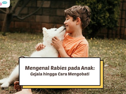 Mengenal Rabies pada Anak: Gejala hingga Cara Mengobati