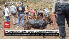 VIDEO: Polisi Kerahkan Anjing Pelacak di Lokasi Pemakaman Massal Bayi