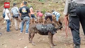 VIDEO: Polisi Kerahkan Anjing Pelacak Cari 3 Makam Bayi di Banyumas