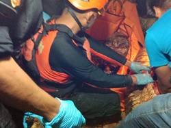 2 Hari Hilang, Pencari Siput Ini Ditemukan di Perut Buaya 6 Meter