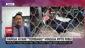 VIDEO: Harga Ayam 'Terbang' Hingga Rp 70 Ribu