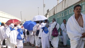 Ibadah Haji 2023: 773 Jemaah Wafat, 77 Dirawat, 1 Hilang