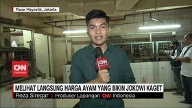 VIDEO: Melihat Langsung Harga Ayam yang Bikin Jokowi Kaget