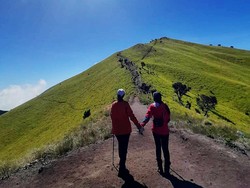 BKSDA Sumbar Tutup Akses ke 4 Gunung, Larang Pendakian di Akhir Tahun