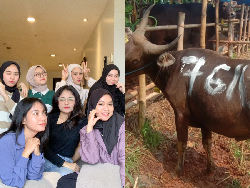 Keren! Para Sahabat Ini Rela Kurangi Nongkrong demi Nabung Beli Sapi Kurban