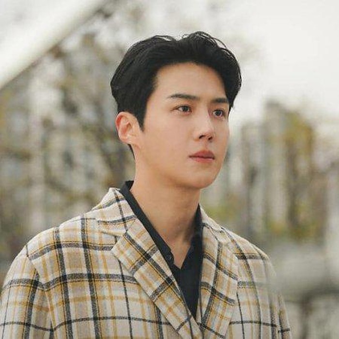 Second Male Lead Kim Seon Ho/ foto: mydramalist