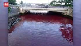VIDEO: Pabrik Bir Lokal Bocor, Perairan Okinawa Berubah Jadi Merah