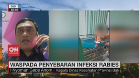 VIDEO: Waspada Penyebaran Infeksi Rabies