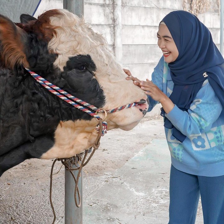 <p>YouTuber Ria Ricis merayakan Idul Adha bersama keluarganya. Tahun ini, Ricis juga ikut berkurban. Bunda satu anak ini sempat mengunggah foto ketika melihat hewan kurbannya. (Foto: @riaricis1795)</p>