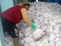 Banjir Daging! Desa Batur Banjarnegara Kurban 189 Sapi-416 Kambing Tahun Ini