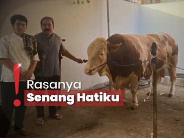 Inul Daratista Kurban Sapi Jumbo, Ajak Sekampung Pesta Daging