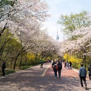 3 Tempat Wisata Gratis yang Seru di Korea Selatan