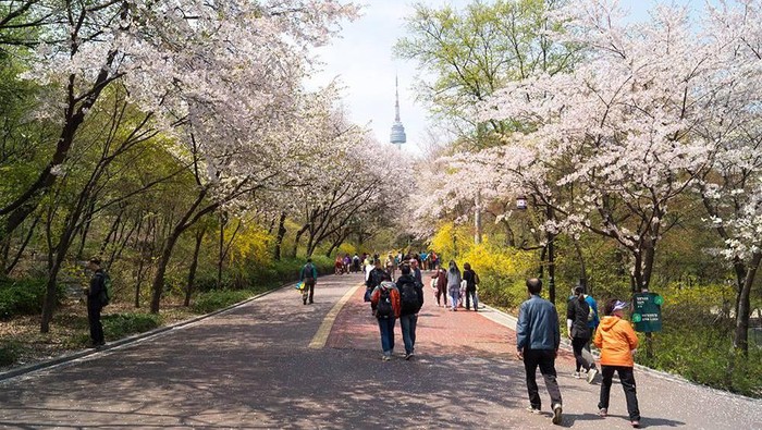 3 Tempat Wisata Gratis yang Seru di Korea Selatan