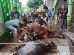 Doa Memotong Hewan Kurban Lengkap dengan Tata Caranya