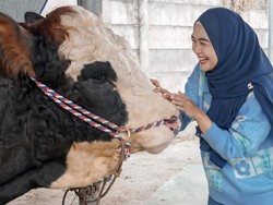 Ria Ricis Ajak Moana Kurban dari Beli hingga Proses Sembelih
