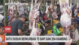 VIDEO: Satu Dusun Berkurban 73 Sapi Dan 254 Kambing
