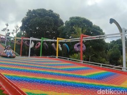 Libur Panjang, Yuk Seru-seruan di Taman Bunga New Celosia Semarang