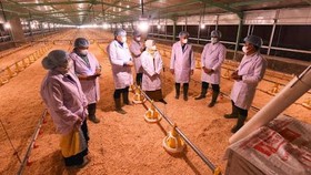 Dorong Inovasi Perunggasan, CPI Resmikan Hibah Teaching Farm di USU