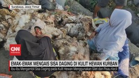 VIDEO: Emak-Emak Mengais Sisa Daging di Kulit Hewan Kurban