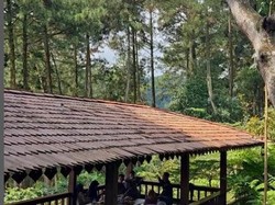 5 Kafe Baru di Bogor yang Tak Jauh dari Tol Ini Cocok Buat Nongkrong