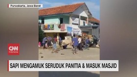 VIDEO: Sapi Mengamuk Seruduk Panitia & Masuk Masjid