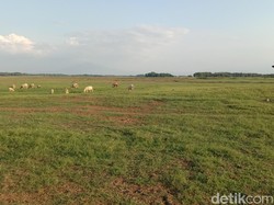 Manfaat Lain Waduk Cipancuh Bagi Kehidupan Warga Indramayu