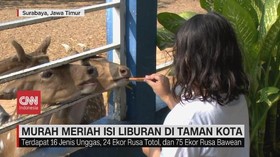 VIDEO: Murah Meriah Isi Liburan di Taman Kota