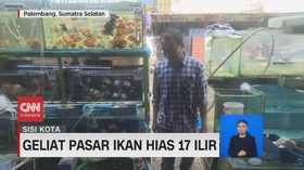 VIDEO: Geliat Pasar Ikan Hias 17 Ilir