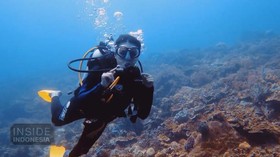 VIDEO: Mutiara Gerbang Teluk Tomini
