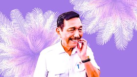 Pahami Pemutihan Lahan yang Dilakukan Luhut ke 3,3 Juta Ha Lahan Sawit