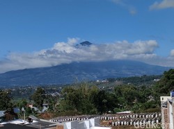 Akhir dari 4 Hari Pencarian Pendaki Asal Karawang di Gunung Cikuray