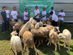 Mitratel Gandeng Baznas Salurkan 3.467 Paket Daging Kurban