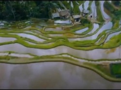 Filipina Comot Keindahan Sawah Bali untuk Video Promosi Pariwisata