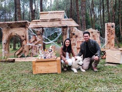 Unik! Ultah Anjing Ini Dirayakan Mewah Bak Pesta Manusia