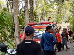 Koloni Lebah Serang Warga Klaten, 13 Orang Dilarikan ke RS-Puskesmas