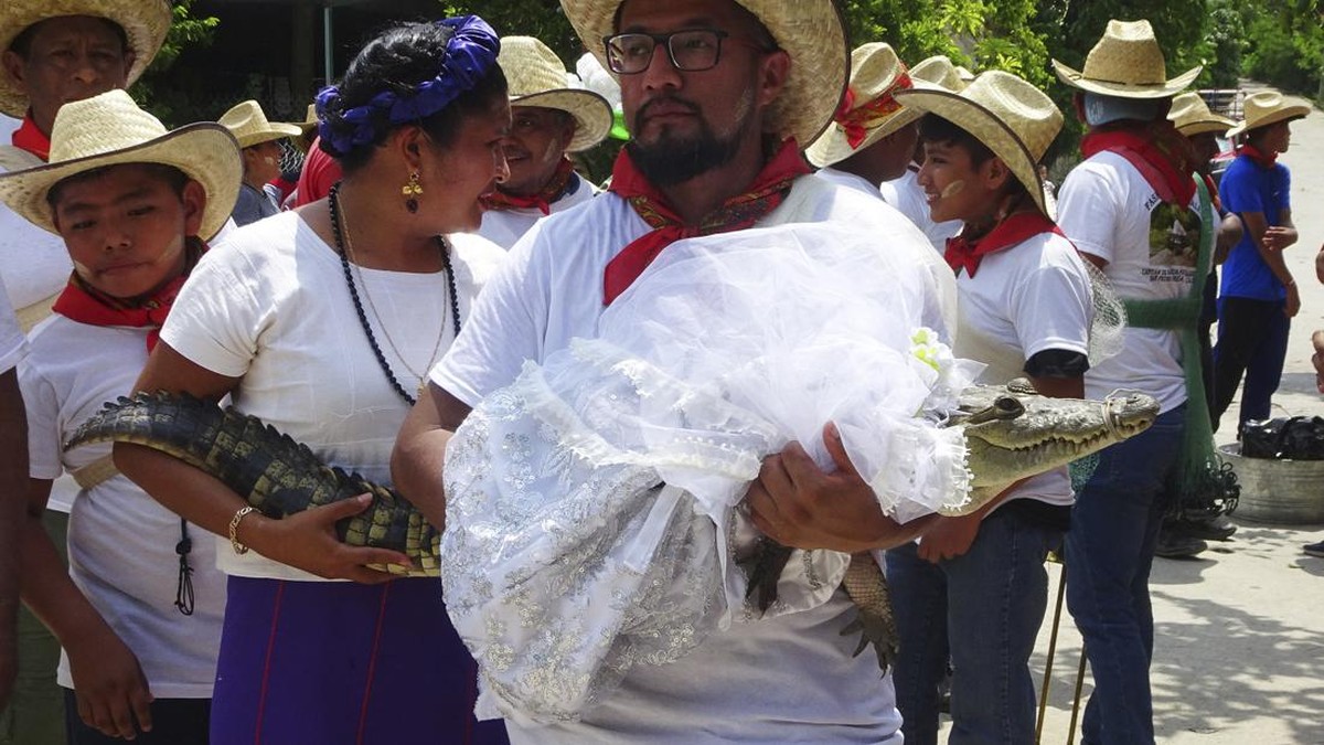 FOTO: Momen Sakral Pejabat Meksiko Menikahi Seekor Buaya Betina