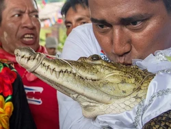 Kisah Wali Kota di Meksiko Nikahi Buaya Demi Kesejahteraan Rakyat