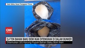VIDEO: 2,4 Ton Bahan Baku Bom Ikan Ditemukan di Dalam Bunker
