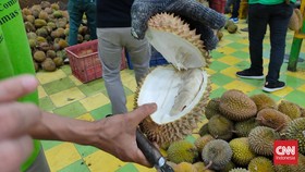 7 Jenis Durian Terenak Asli Indonesia, Wajib Dicoba